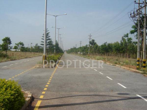 Images for Main Other of BBM Squirrels Oak