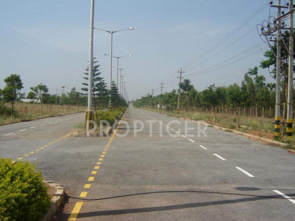 Images for Main Other of BBM Squirrels Oak