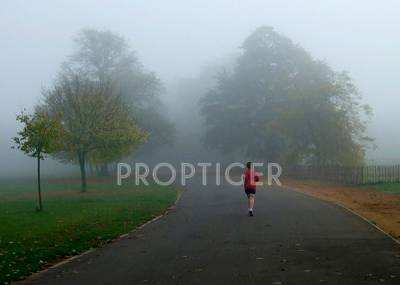 Images for Main Other of BBM Squirrels Oak