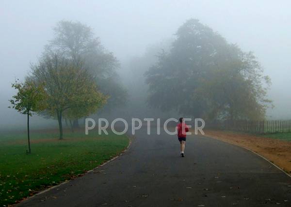 Images for Main Other of BBM Squirrels Oak