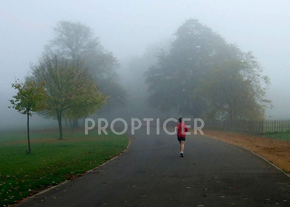 Images for Main Other of BBM Squirrels Oak