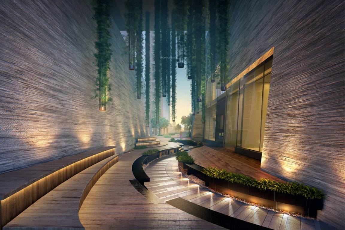 sojon Senior Citizen Sitout