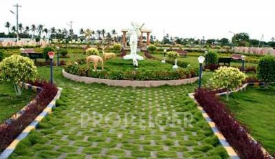 Images for Main Other of BBM Green Orchids