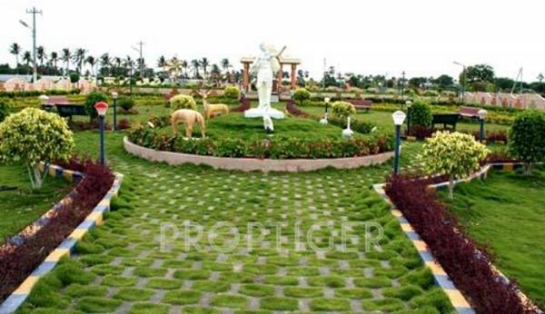 Images for Main Other of BBM Green Orchids