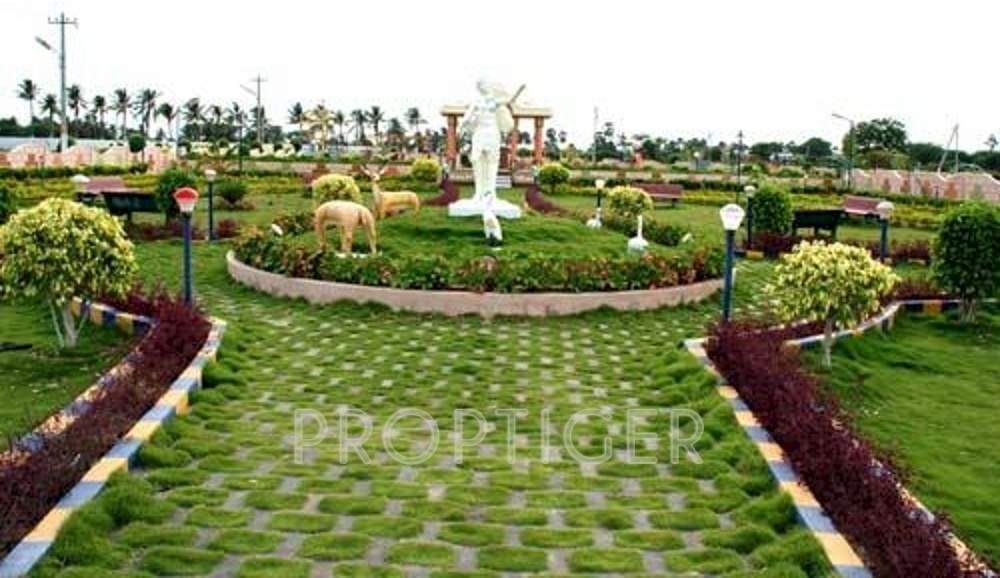 Images for Main Other of BBM Green Orchids