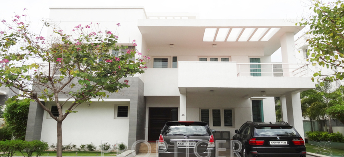 the meadows Elevation