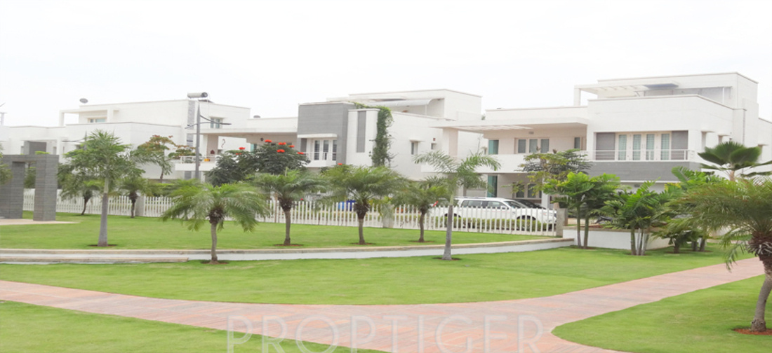 the meadows Elevation