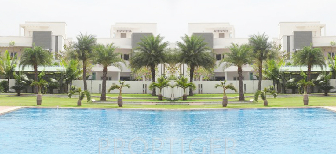 the meadows Elevation