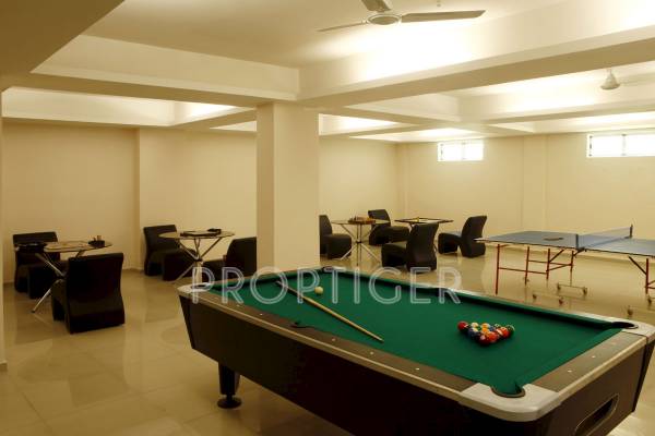 Table Tennis luxor-heights Table Tennis