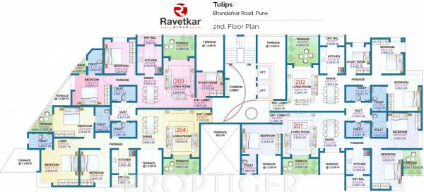 Images for Cluster Plan of Ravetkar Tulips Images for Cluster Plan of Ravetkar Tulips