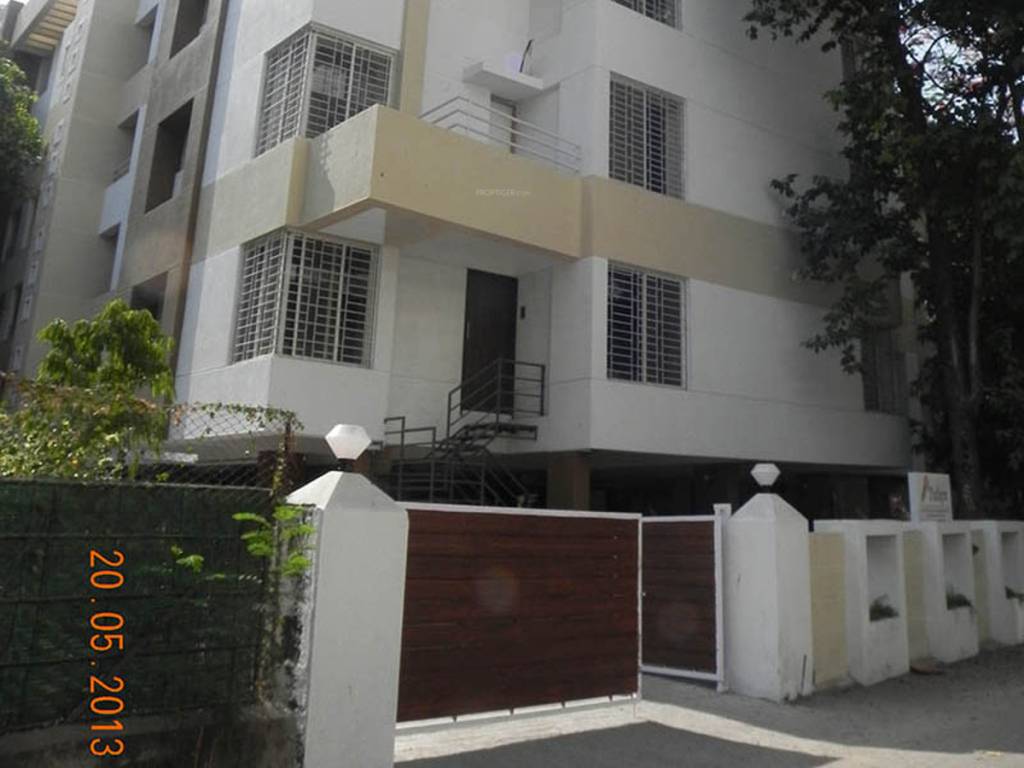 Images for Elevation of Ravetkar Tulips