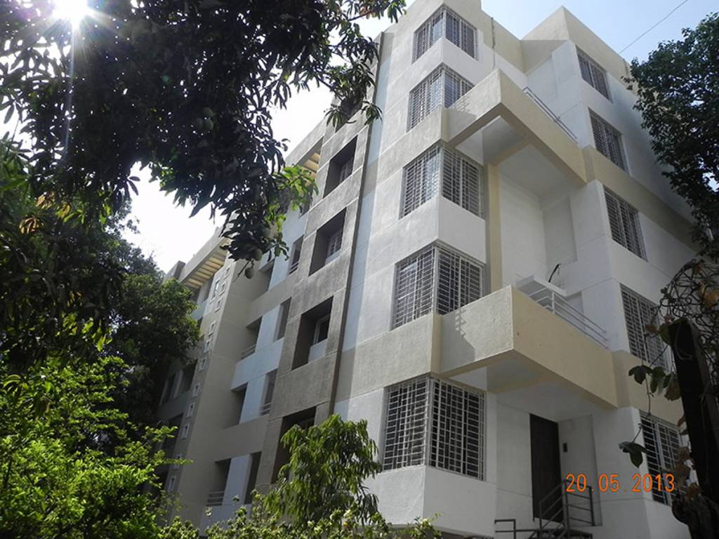 Images for Elevation of Ravetkar Tulips