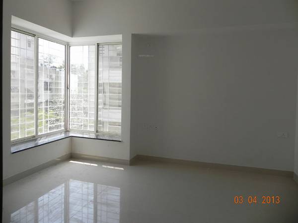 Images for Main Other of Ravetkar Tulips Images for Main Other of Ravetkar Tulips