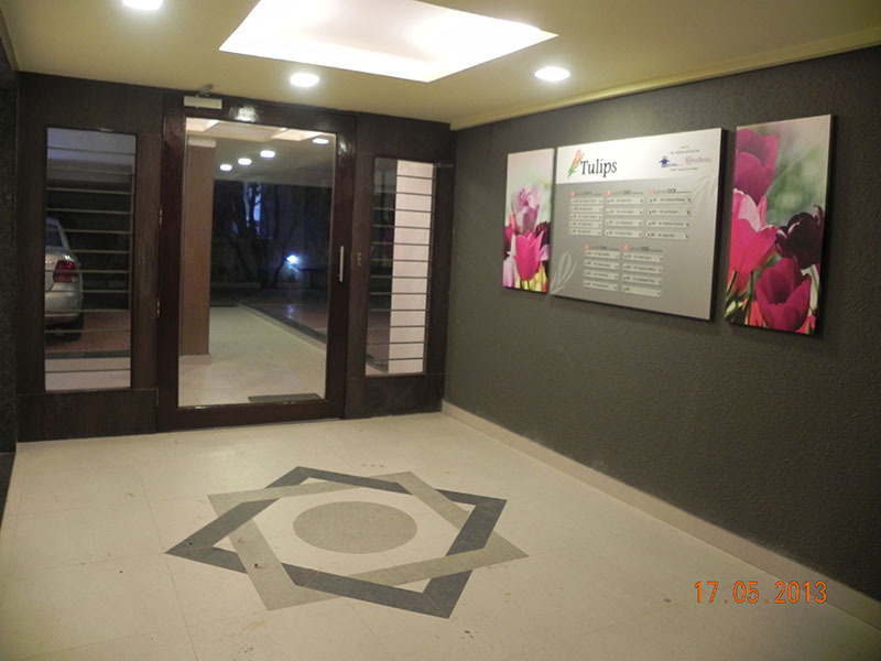 Images for Main Other of Ravetkar Tulips