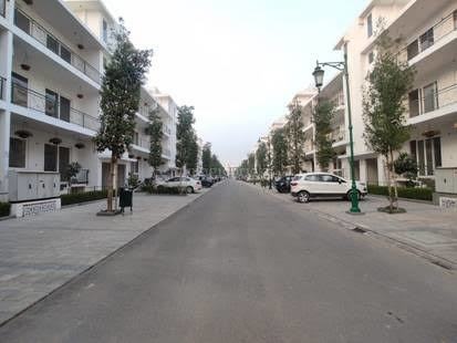 Elevation flamingo-floors Elevation