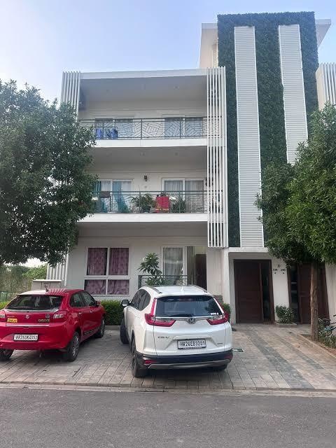  flamingo floors Elevation