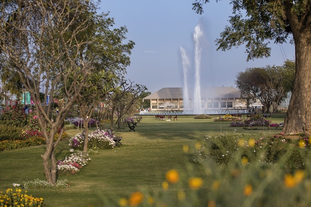 Central Flamingo Floors