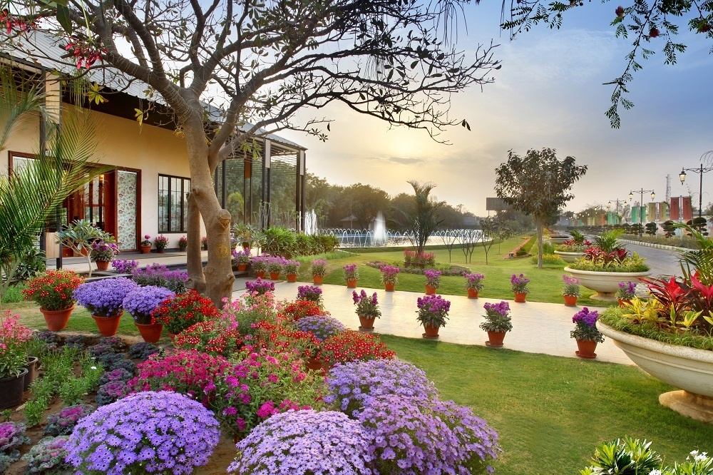 Central Flamingo Floors