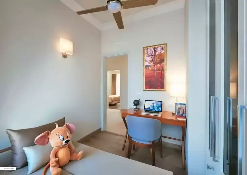 Images for mainOther