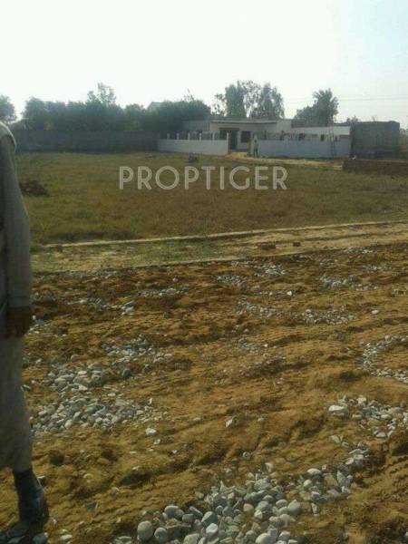 Images for Main Other of Ajor Dream City