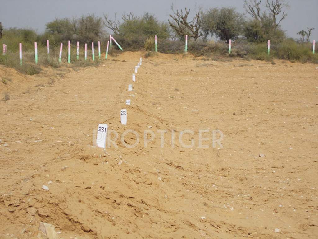 Images for Main Other of Rajasthan Royal City