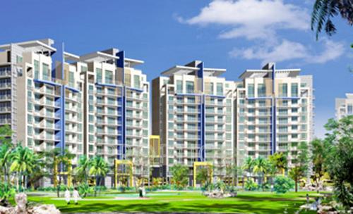 Images for Elevation of Op Floridaa floridaa Images for Elevation of Op Floridaa