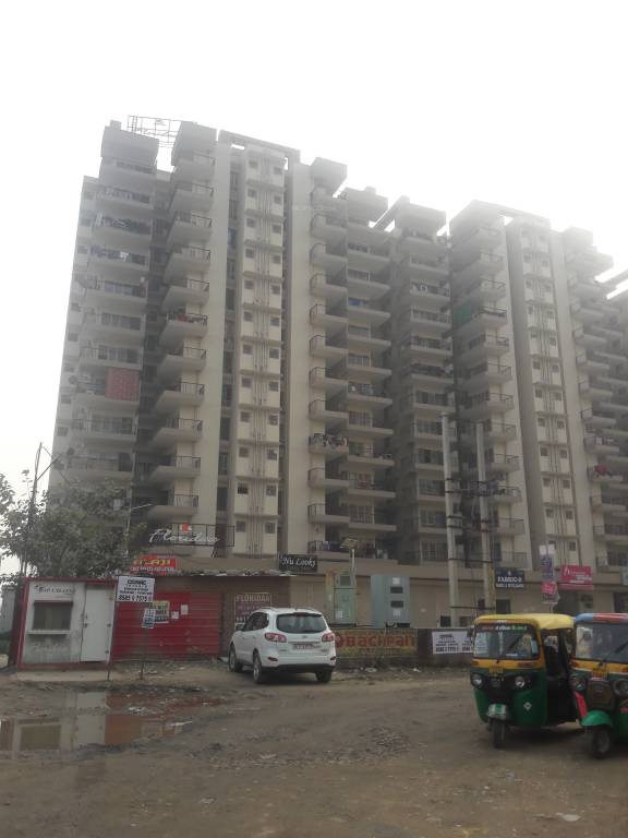 floridaa Images for Project