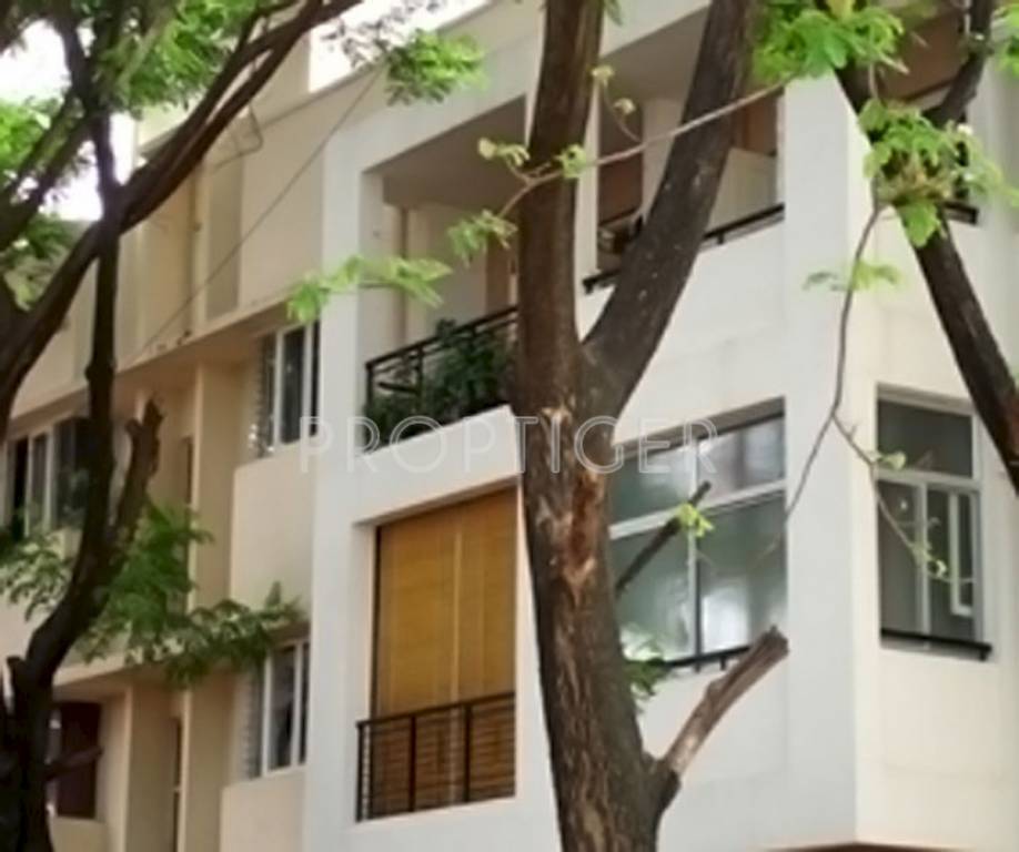 Images for Elevation of Sycon One