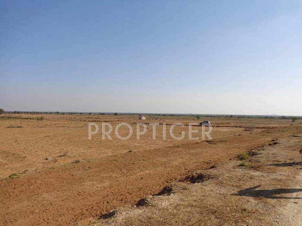 Images for Main Other of Rajasthan Rainbow City