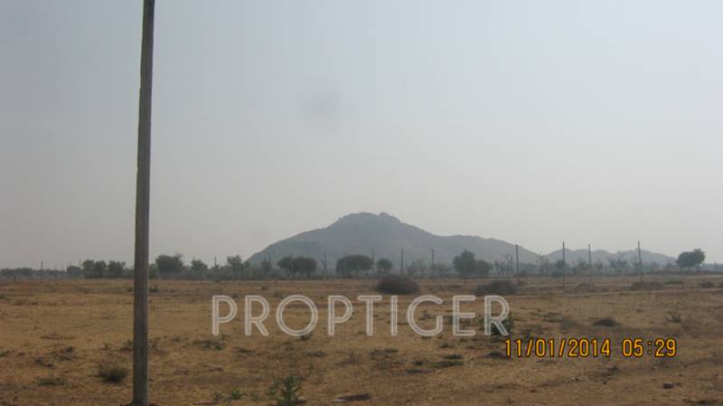 Images for Main Other of Rajasthan Royal Enclave Phase I