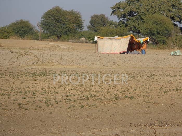 Images for Main Other of Rajasthan Residency