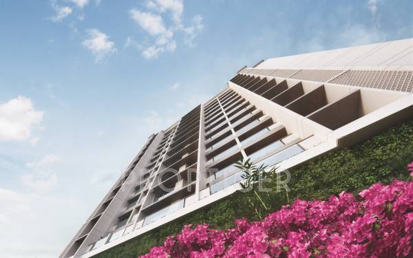 Images for Elevation of Richa Bougainvillea