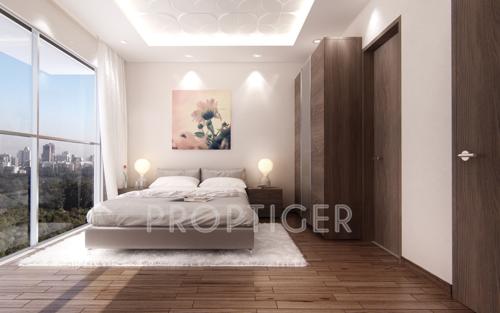 Images for Main Other of Richa Bougainvillea