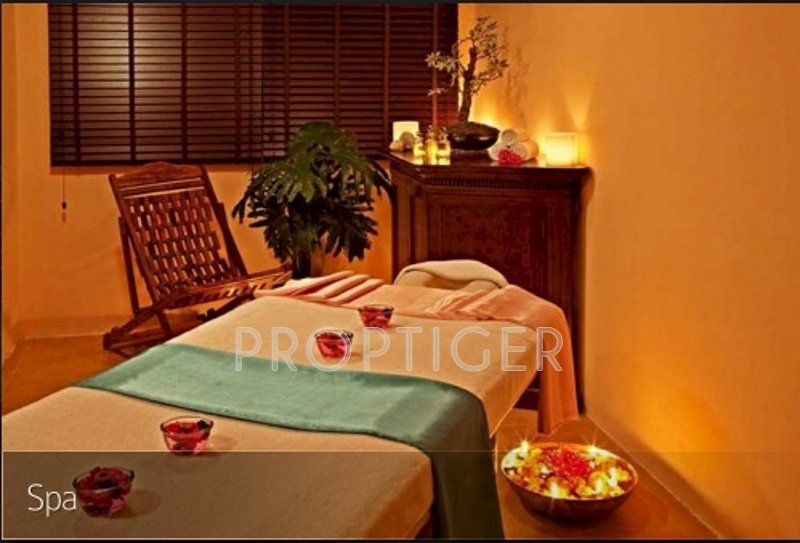 Images for Amenities of H2O The Crest