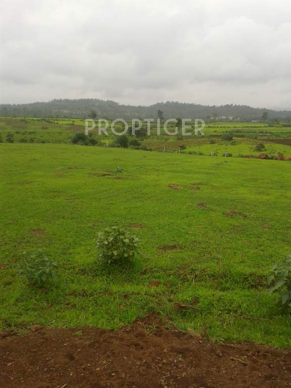 Images for Main Other of Indo Mount Valley