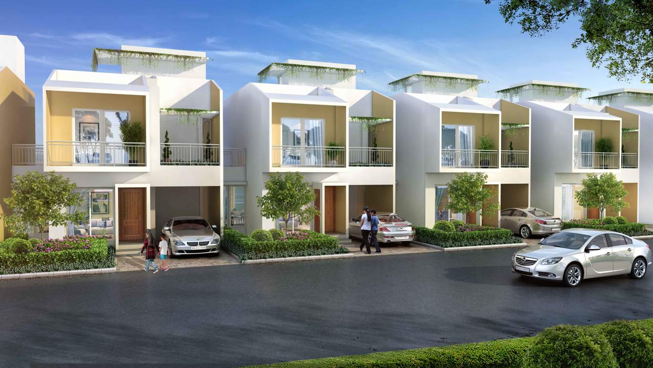  rolling whites Images for Elevation of Aratt Rolling Whites