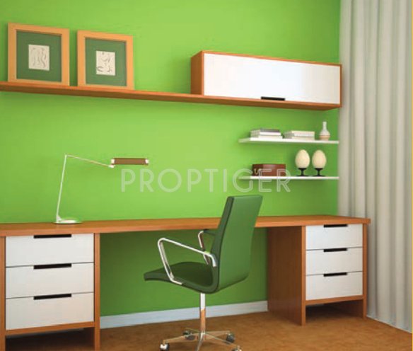 Images for Main Other of Tashee Orion Galaxy