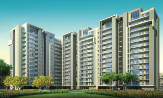 Project Image Project Image