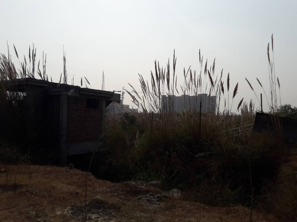 Images for constructionStatus