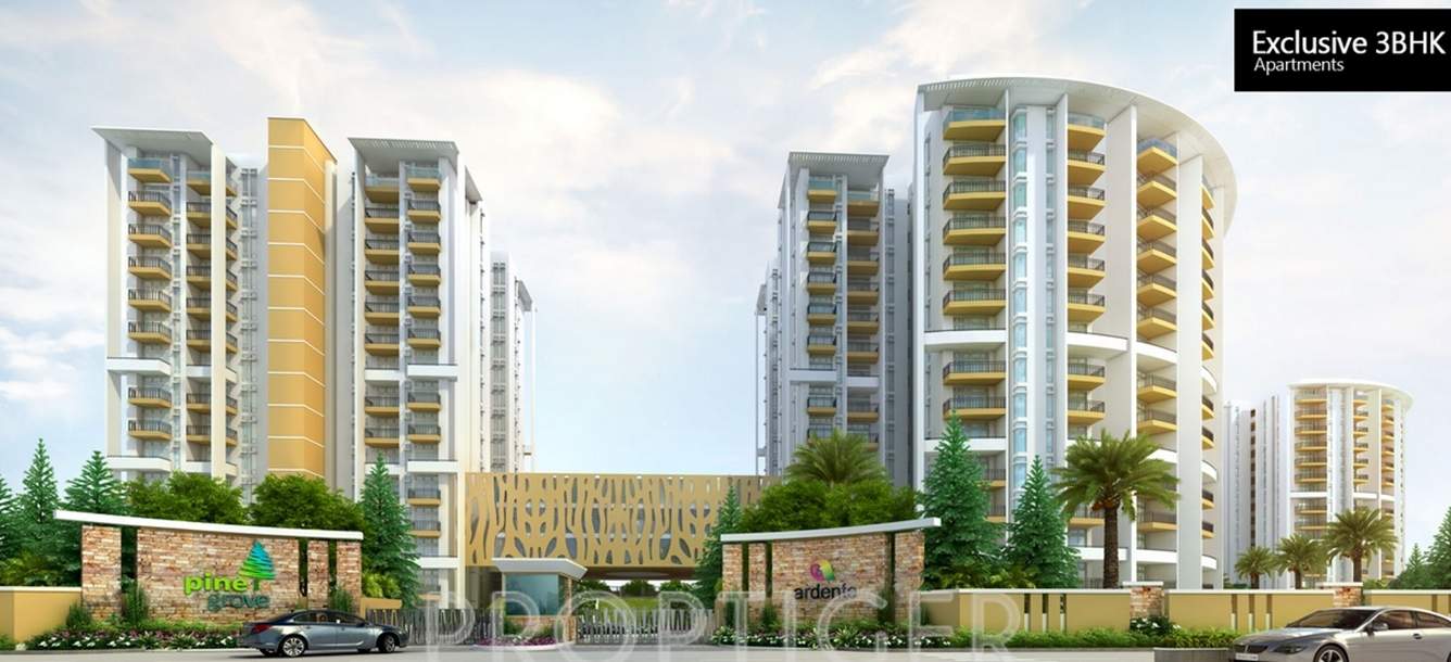 Images for Elevation of Ardente Pine Grove