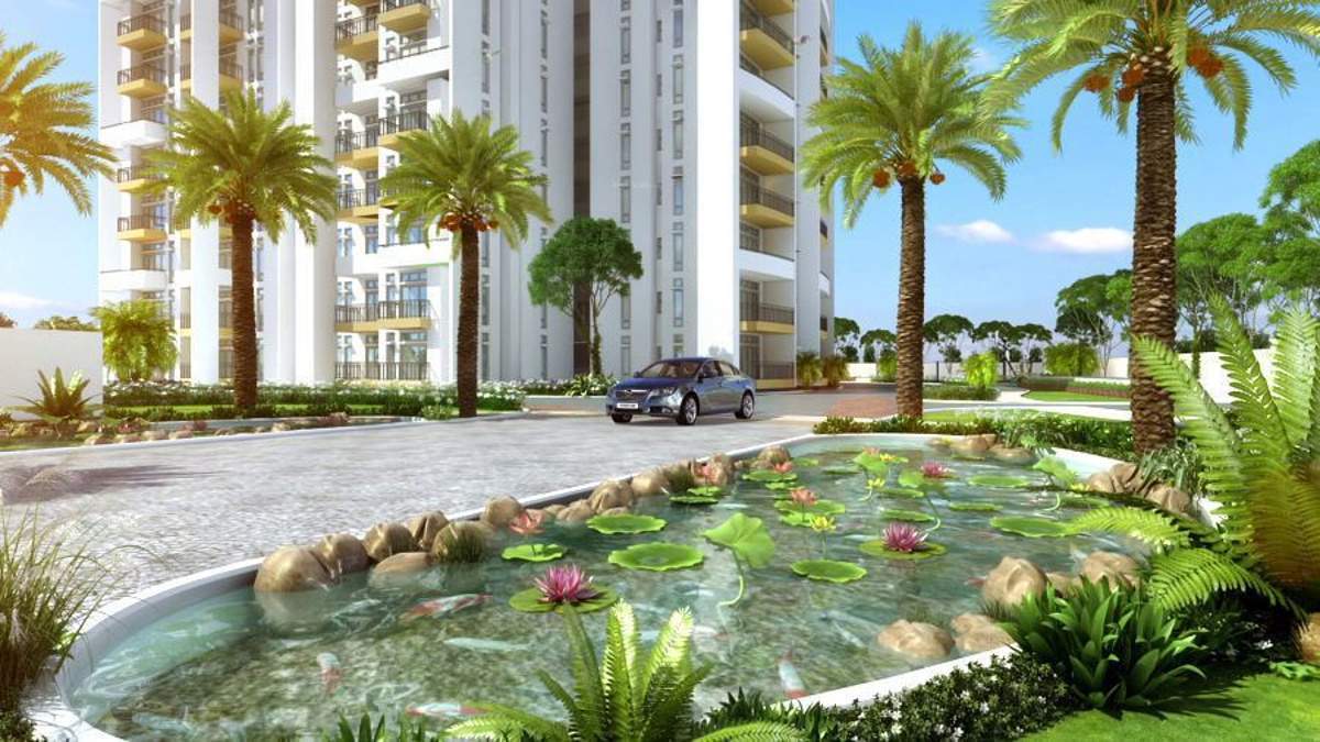 Images for Amenities of Ardente Pine Grove