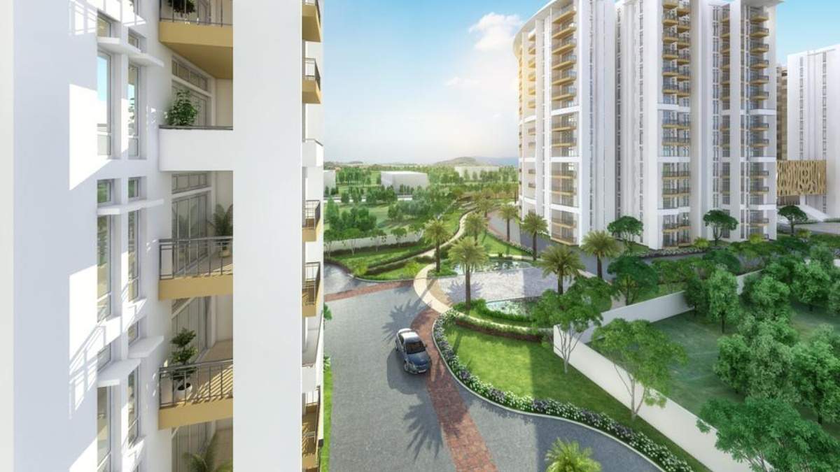 Images for Main Other of Ardente Pine Grove