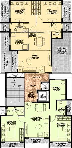 Images for Cluster Plan of Soham Avenue