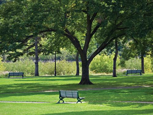 Images for Amenities of MGH Anandam Estate