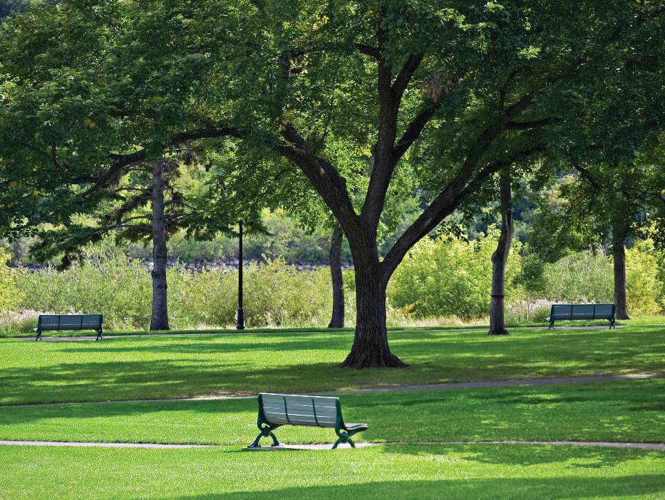 Images for Amenities of MGH Anandam Estate