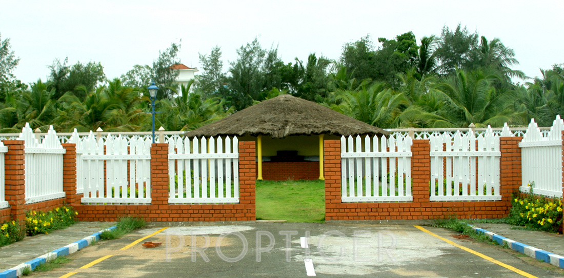 Images for Main Other of Olive Time Square