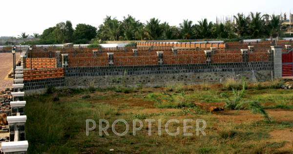 Images for Main Other of Olive Spring Waters