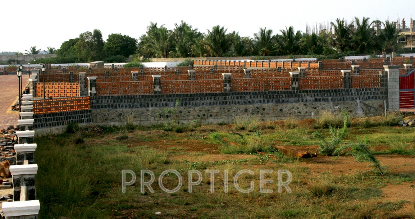 Images for Main Other of Olive Spring Waters