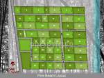 Images for Layout Plan of Olive Pine Beach
