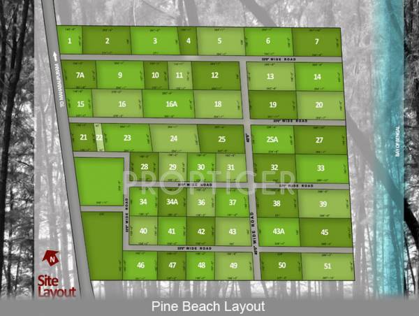 Images for Layout Plan of Olive Pine Beach